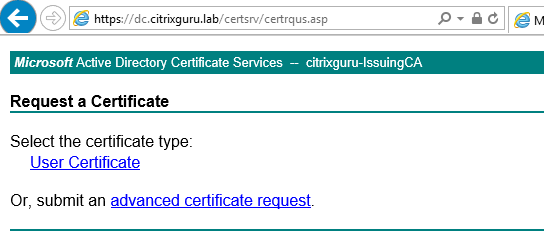 Select Advanced certificate request