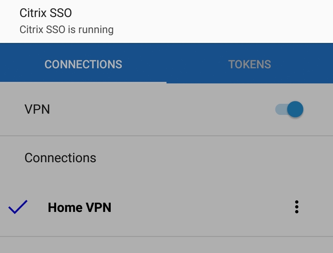 Citrix VPN/SSO - Connected
